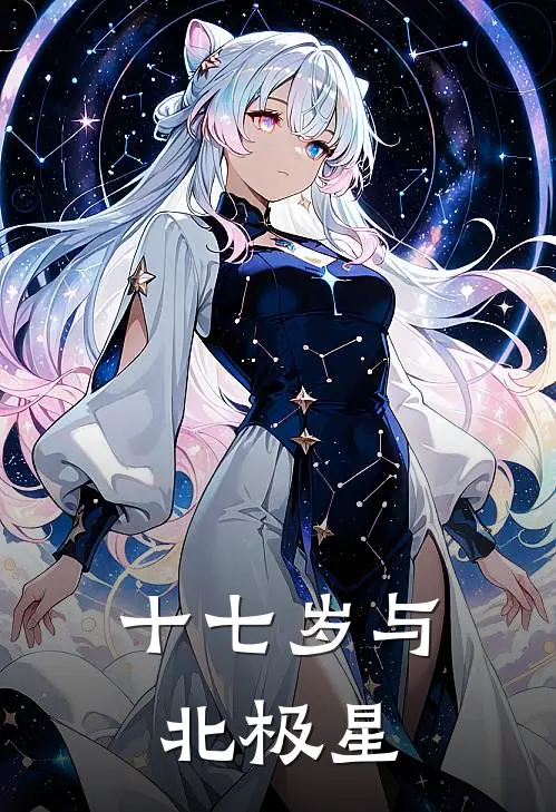 十七岁与北极星