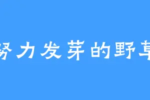 努力发芽的野草