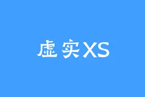 虚实XS