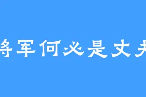 将军何必是丈夫