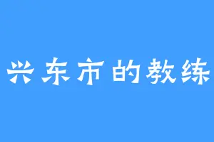 兴东市的教练