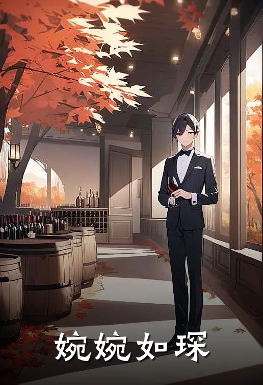 婉婉如琛边婉何琛免费小说完结_最新完本小说推荐婉婉如琛(边婉何琛)