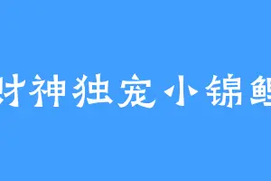 财神独宠小锦鲤