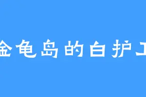 金龟岛的白护卫
