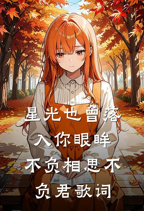 星光也曾落入你眼眸,不负相思不负君歌词