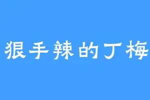 心狠手辣的丁梅丽