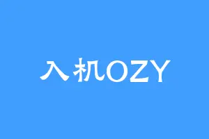 入机OZY