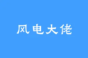 风电大佬