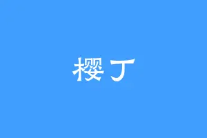 樱丁