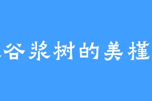 喜欢谷浆树的美槿小姐