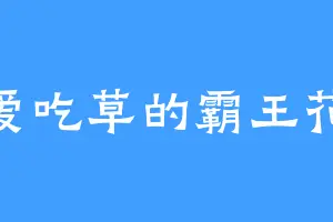 爱吃草的霸王花