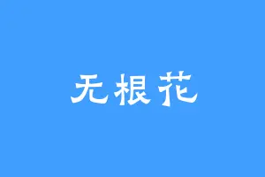 无根花