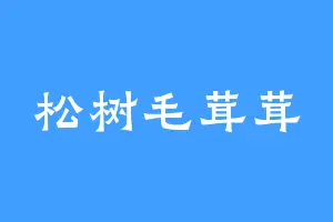 松树毛茸茸