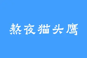 熬夜猫头鹰